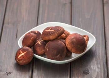 Mushroom Chocolate Bars Trending On Online Market